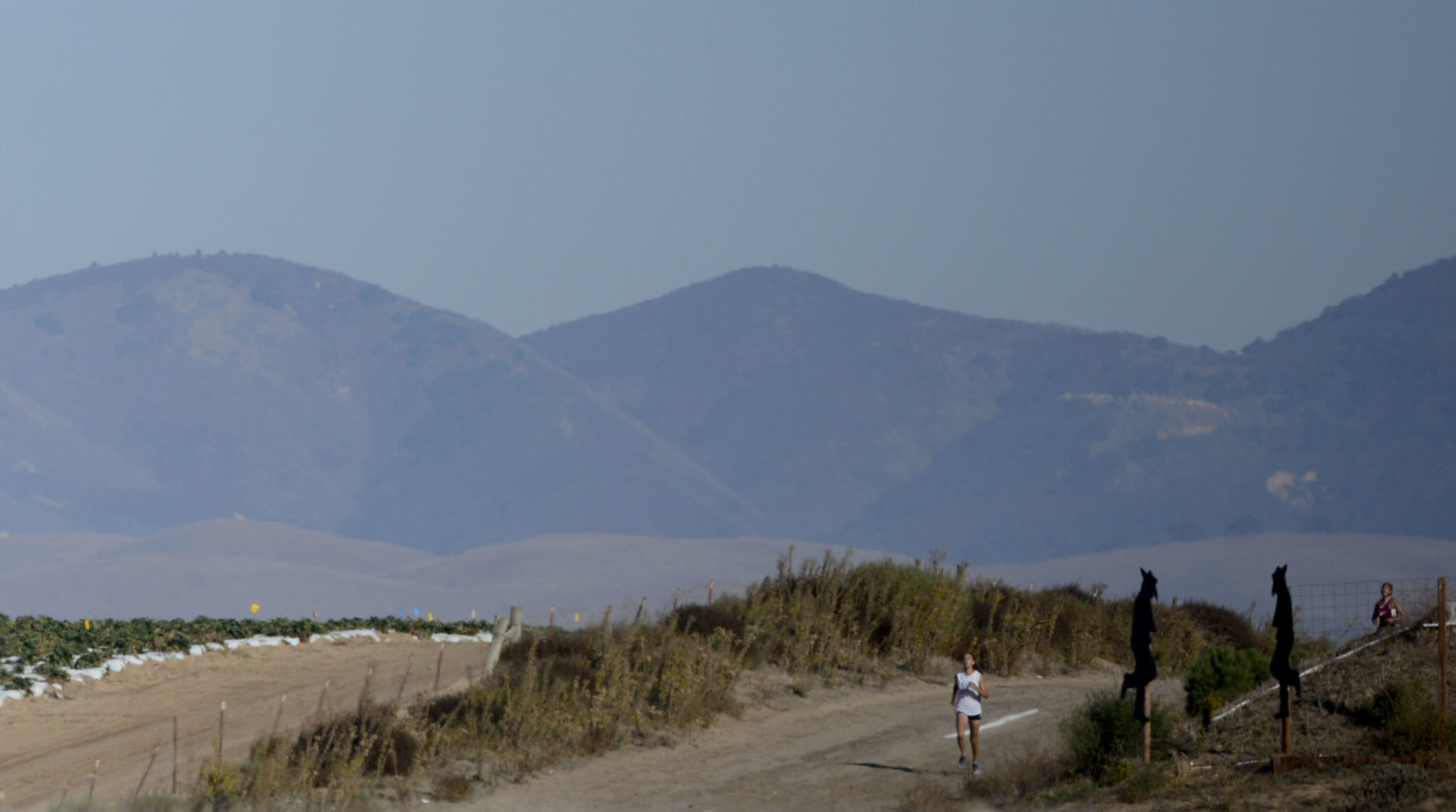 110619 Cross country 12.jpg